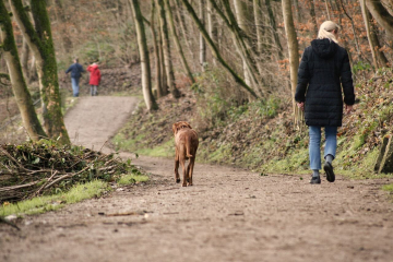 Themenspaziergang_Hundeliebe