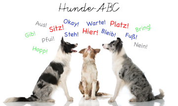 Hunde ABC