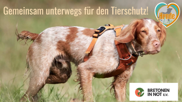 Spendenspaziergang für den Tierschutz! (2)