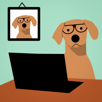 Webinar_Hund